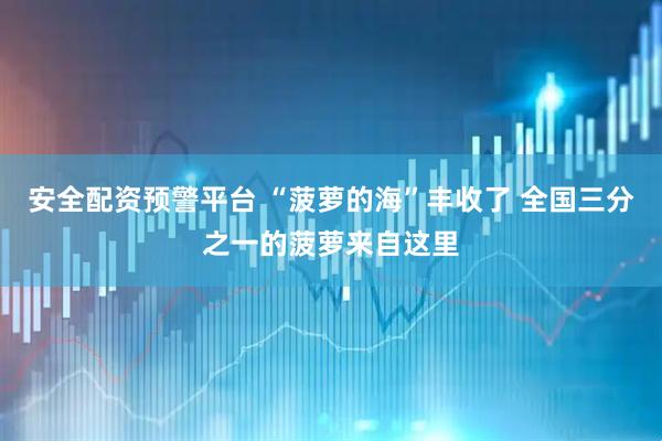 安全配资预警平台 “菠萝的海”丰收了 全国三分之一的菠萝来自这里