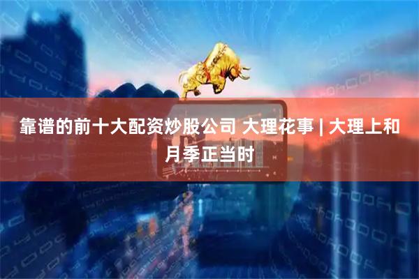 靠谱的前十大配资炒股公司 大理花事 | 大理上和月季正当时